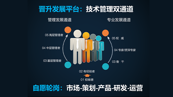 职业发展双通道